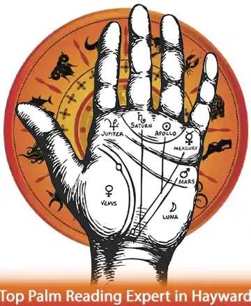 Discover the gentle wisdom of palm reading, where each line on your hand tells a story of heart and soul. Surrounded by the comforting glow of celestial symbols, find peace and guidance in every touch. Palmistry session in Hayward.