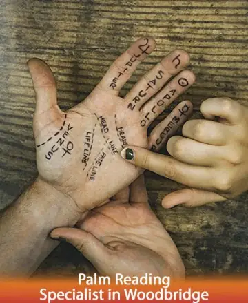 In a serene setting, a gentle hand traces the lines of another, each mark whispering secrets of the soul. The warmth of human connection radiates trust and wisdom, offering comfort and insight to those seeking clarity. Palm reading specialist in Woodbridge.