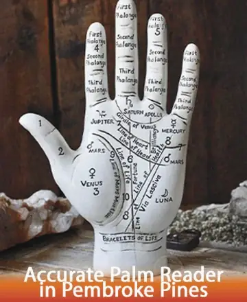 In the gentle embrace of wisdom, a hand unfolds, tracing the lines of destiny and whispering stories of the soul. This serene tableau invites reflection and understanding, nurturing a connection with the universe’s mysteries. Accurate palm reader in Pembroke Pines.