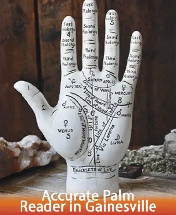 Explore the gentle art of palmistry, where each line on your hand tells a story of growth, love, and purpose. Let the wisdom etched in your palm bring clarity and peace to your journey. Accurate palm reader in Gainesville.
