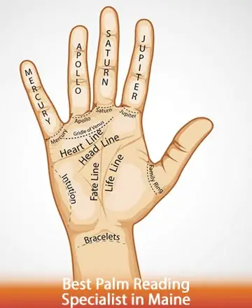 Discover the gentle wisdom held within the lines of your palm, guiding you towards clarity and inner peace. Each line tells a story, offering insights into your heart and life's path. Embrace this journey with warmth and understanding. Palm reading in Maine.