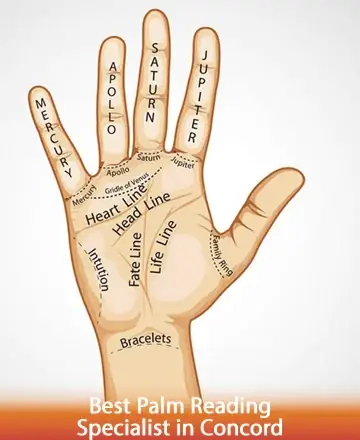 Explore the gentle wisdom of your palm, where each line tells a story of your journey and potential. Allow the warmth of understanding and clarity to guide you towards inner peace and self-discovery. Palm reading specialist in Concord.