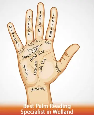 In the gentle embrace of destiny, the hand reveals stories written in the lines of life, heart, and fate. Each curve whispers secrets of the soul, offering guidance and comfort. Discover the wisdom within with Master Vijay Ram. Palm reading in Welland.